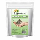 Grenera Moringa Seed 100gm