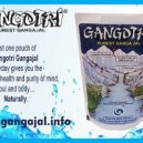 Gangotri Pouch (Gangajal) 200ml