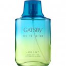 Gatsby Perfume Sky 100ml