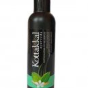 KOTTAKKAL ANTI DANDRUFF SHAMPOO 100 ML