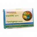 Patanjali Panchgavya Soap 75G