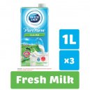 Dutch Lady UHT Fresh Milk 1Lt (Australia)
