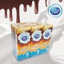 Dutch Lady Choco Caramel Milk 6X200ml