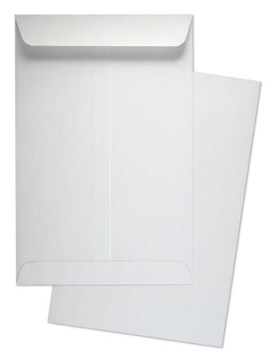 Envelopes White Big